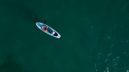 Aerial View SUP Festival in the Open Sea People Paddleboarding and Relaxing in a Bay