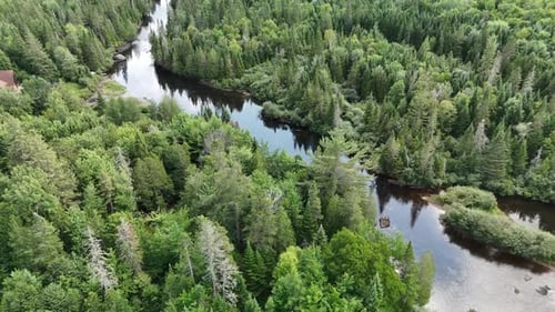 Aerial view of river winding through forest, Canada.