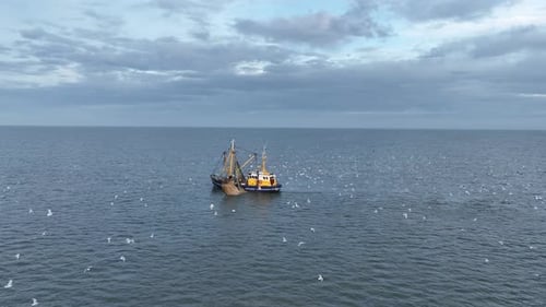 Panning drone shot of a Fishers boat dragging the nets thru the water. Birds circling the boat looki