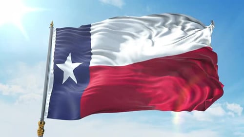 Realistic Waving Texas State Flag Animation
