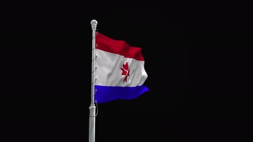 Waving Generic Flag Animation on Pole