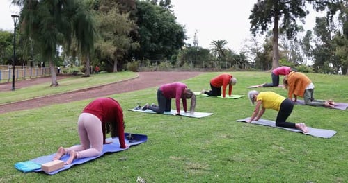 Multiracial people enjoy outdoor yoga class at park during beautiful sunset