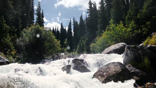Mountain River Runs at Morning in Slow Motion