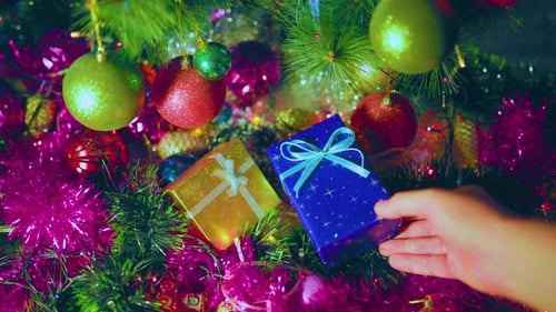 An Unrecognizable Hand of a Person Puts a Box with a Gift Next to Another Under the Tree