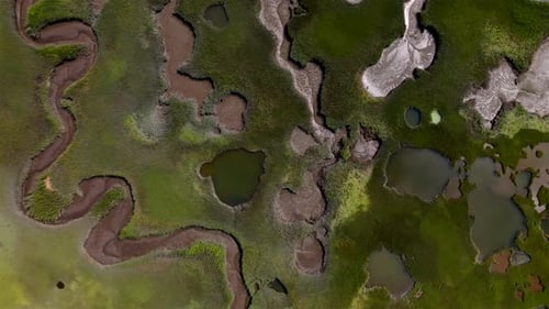 Aerial view of marshes, USA.