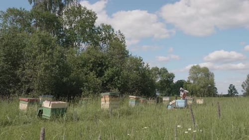 Beekeeper in costume in the field checks bee hive