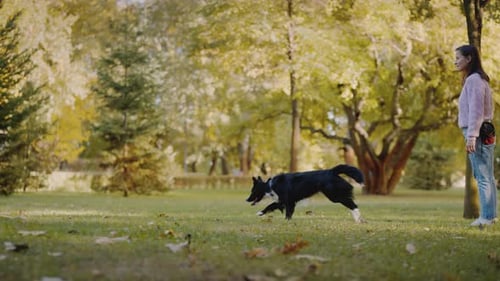 Woman Specialist Asks Dog to Bring Bright Frisbee in Park