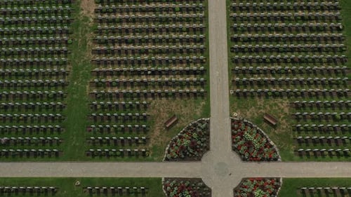 Service militaire - Pierres tombales des cimetières militaires canadiens