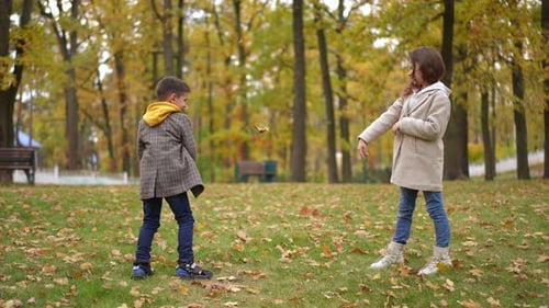Side View Wide Shot Carefree Boy and Girl Throwing Fallen Leaves Having Fun on Meadow in Autumn Park