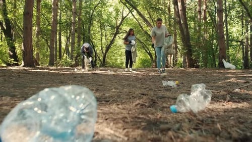 Volunteers Clean Up Forest on Sunny Day