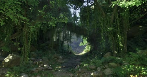 Lush Green Forest Pathway Illuminated By Sunlight Amidst Dense Foliage