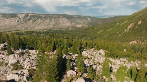 Aerial drone orbit over lush green forest with tall trees, rocky landscape and vast mountain scape i
