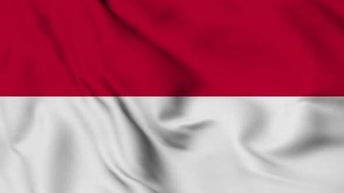 Realistic Waving Flag Animated Background