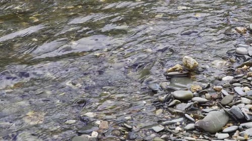 Close up on cristal clear water flowing downstream over the river pebbles. Wave motion on the top of