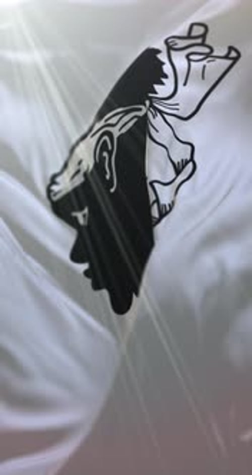 Animated Waving Flag with Stylized Head Silhouette Design