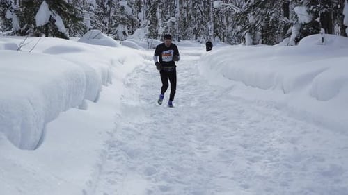 Runner training workout outdoors in winter forest. Legs of professional runner in sportswear