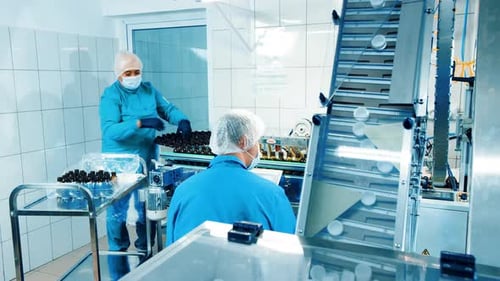Les ouvriers travaillent sur la chaîne de montage