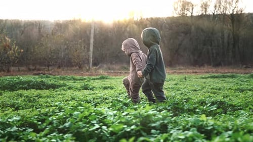 Little Happy Boys Twins Running in Green Mustard Field