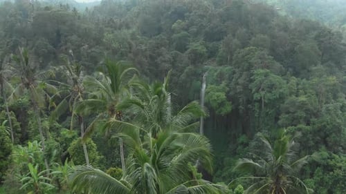 Amazing waterfall hidden in tropical rainforest island Bali, Indonesia