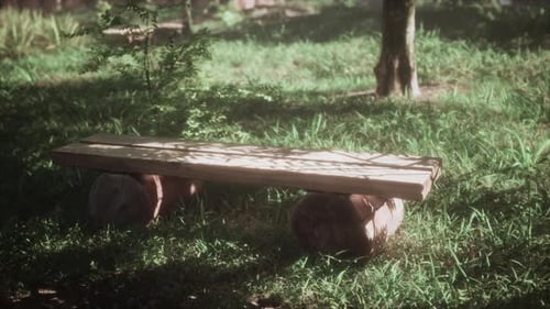 Sunlight Shadows Moving Across a Wooden Park Bench