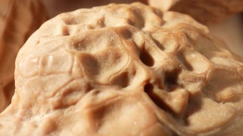 Walnuts in stunning macro close-ups