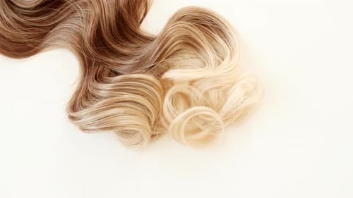 Bunch of Locks of Brown Wavy Hair Shiny Woman Hair Strand Curl Hair Care and Beauty Salon Natural