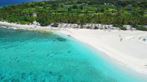 Tropical Vacation Beach on Maldives Island with Palms and Turquoise Ocean Aerial Drone View