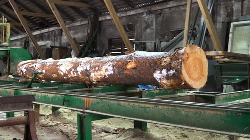 Man Working at Saw Mill Cutting Wood Log
