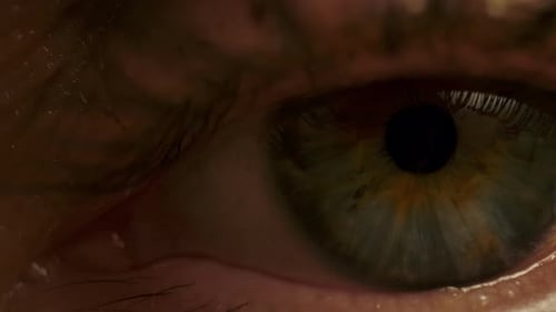 Extreme Close Up of a Green Eye