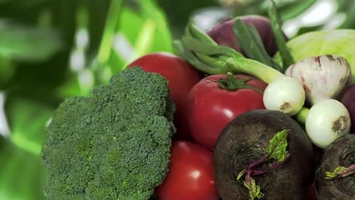 Fresh Vegetables Rotating Close Up
