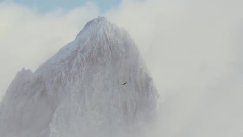 Andean Condor gliding over the Andes Mountains in Southern Patagonia with Mount Fitz Roy in slow mot