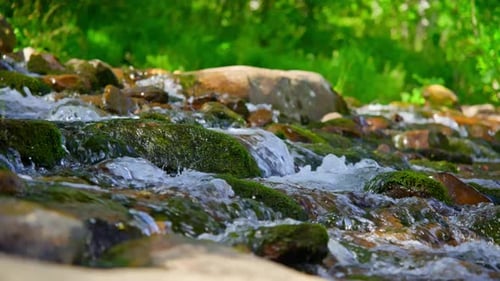 Mountain River on a Summer Day