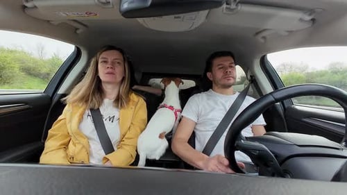 Family Road Trip With Active Dog