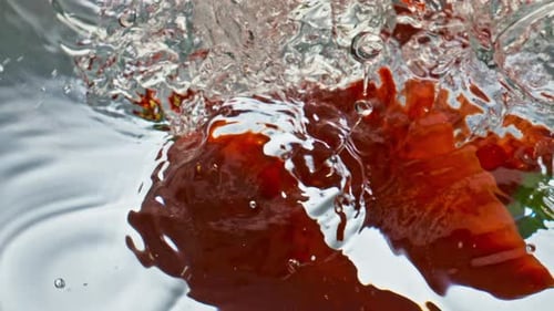 Red Peppers Falling Into Water, Slow Motion
