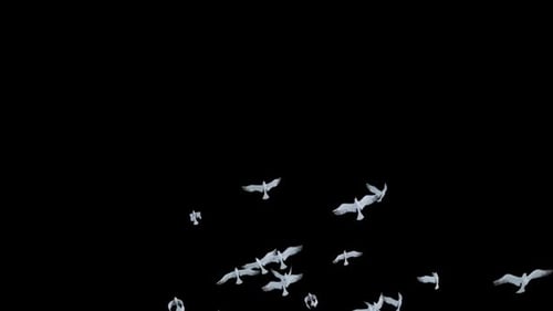 Elegante paloma blanca volando sobre un alfa transparente