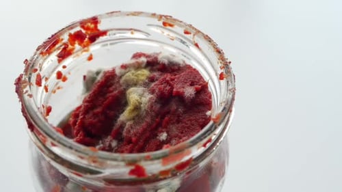 Mold on Canned Food on White Background