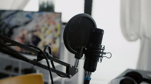 Professional Microphone on Stand Installed in Home Studio