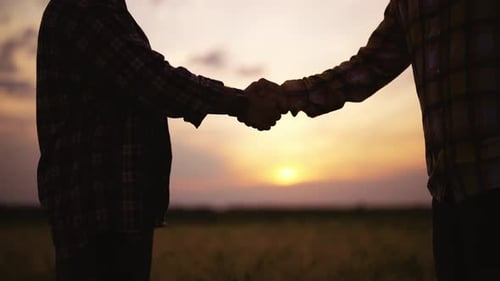 Closeup of Men's Handshake at Sunset Farmers or Businessmen in Wheat Field Made Contract or Gesture