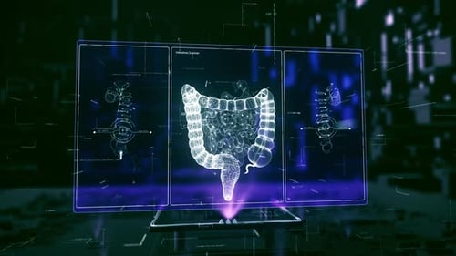 Futuristic Medical Scan Hologram of Human Intestines