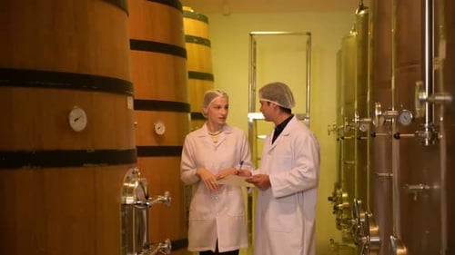 Vigneron professionnel contrôlant le processus de fabrication et la qualité du vin dans une usine vinicole