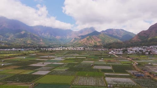 Aerial View of a Green Valley and Farmland in Lombok Indonesia