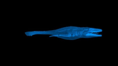 Animation Reptilia Mosasaurus