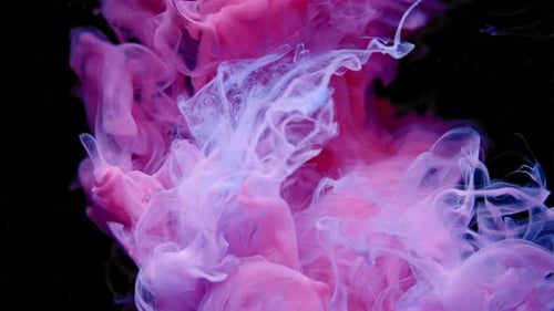 Swirling Pink and Purple Ink in Water