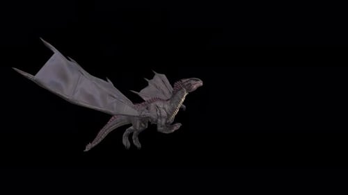 Vidéo Dragon Taking Off