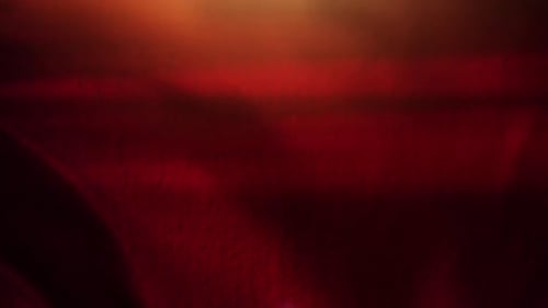 Black And Light Red Overlay Background Animation