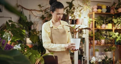 Woman Working at Plant Shop Using Laptop