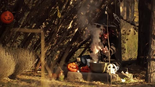 Witch Prepares a Potion in a Cauldron in a Forest Hut