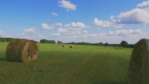 Golden hay bale harvest in peaceful countryside farm field on sunny day