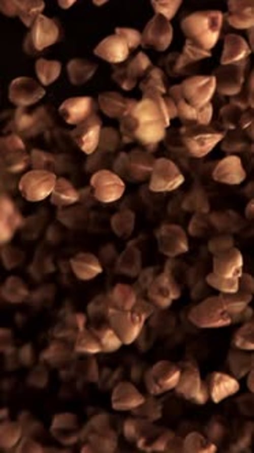 Buckwheat Flies Up and Falls Down Filmed on a Highspeed Camera at 1000 Fps