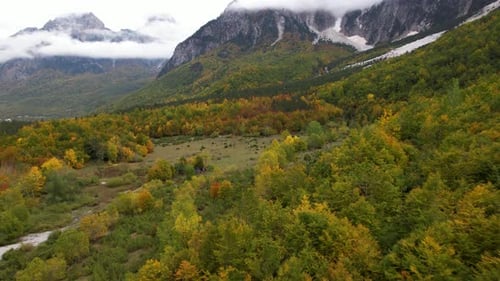 Peaceful Autumn landscape on Alps mountains with meadow and golden colors of forest in Albania